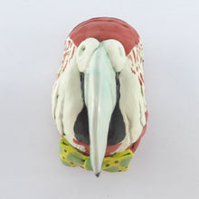Load image into Gallery viewer, Reggie the parrot wall hanging head