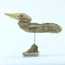 Load image into Gallery viewer, Surfer gull