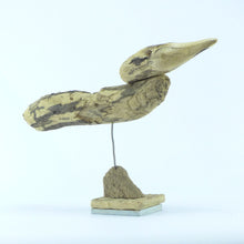Load image into Gallery viewer, Surfer gull