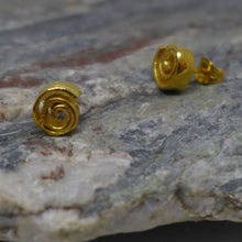 Load image into Gallery viewer, Gilt cinnamon swirl studs