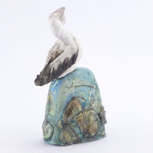 Pelican on a rock