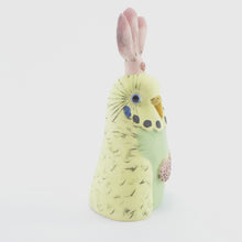 Load image into Gallery viewer, BonBon showgirl budgie bust