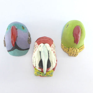 Reggie the parrot wall hanging head