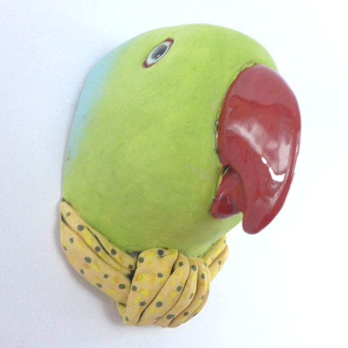 Percy the parrot wall hanging head