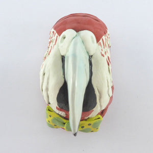 Reggie the parrot wall hanging head