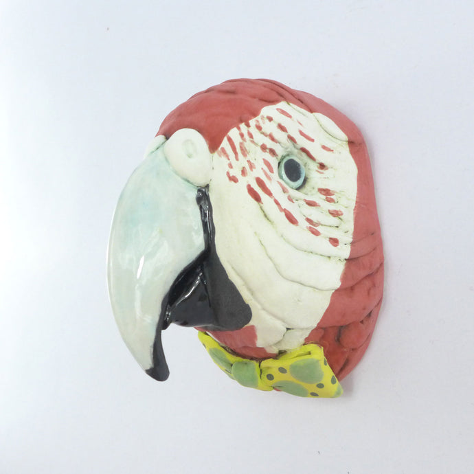 Reggie the parrot wall hanging head