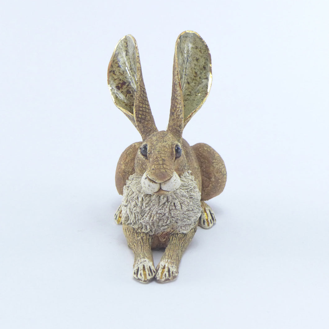 Small crouching hare brown