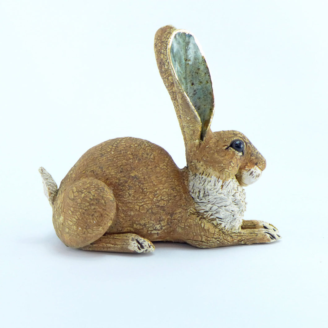 Small crouching hare