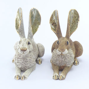 Small crouching hare white