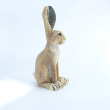 Load image into Gallery viewer, Medium sitting hare
