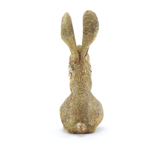 Small sitting hare