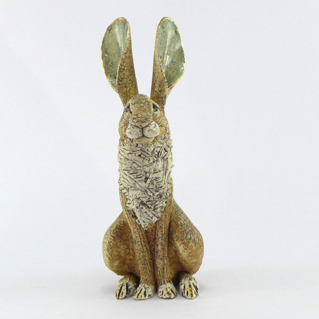 Small sitting hare