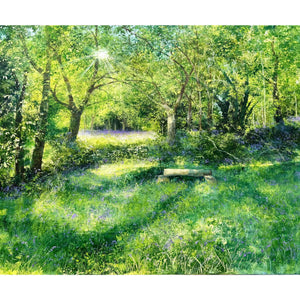 A Bench in the Bower