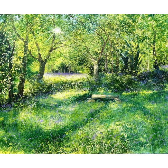 A Bench in the Bower