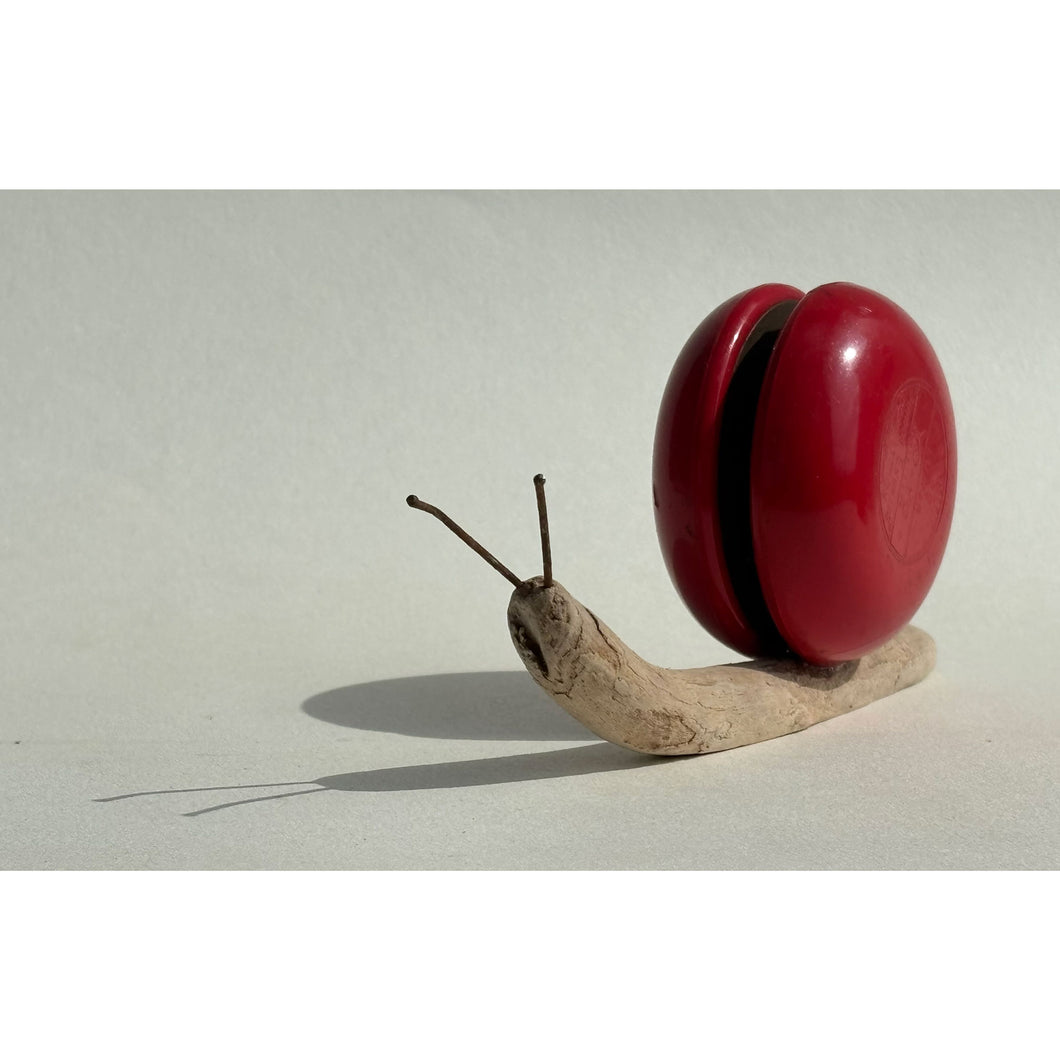Snail