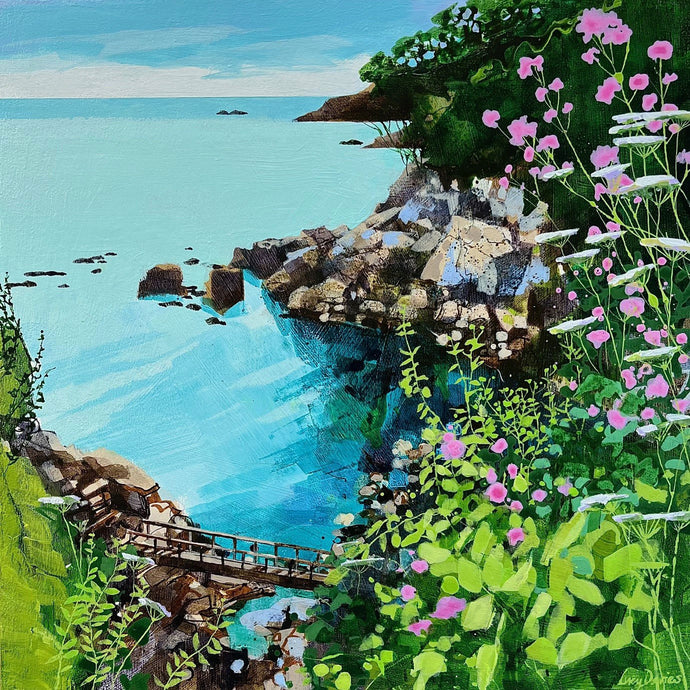 Castle Cove