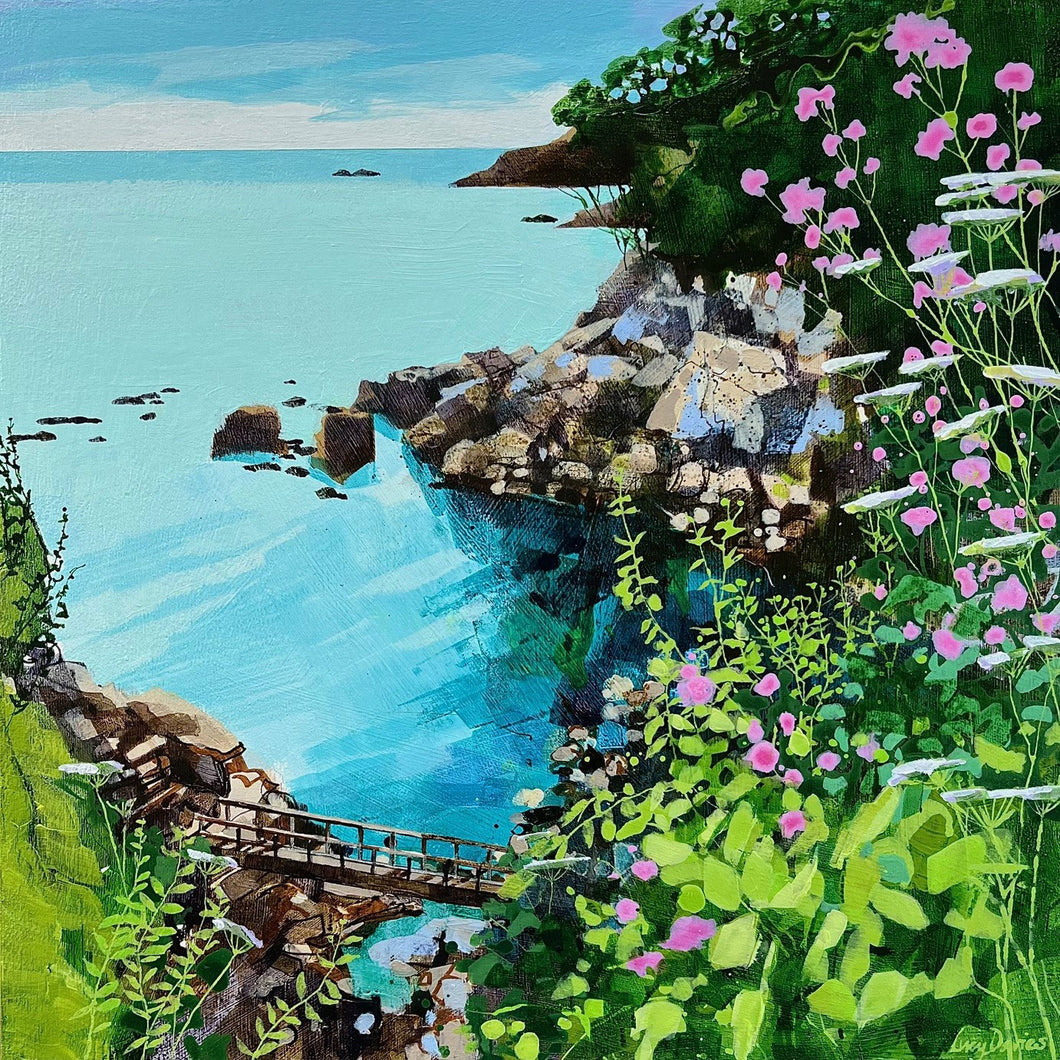Castle Cove