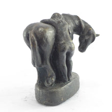 Load image into Gallery viewer, Later Pure Bronze