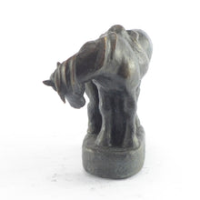 Load image into Gallery viewer, Later Pure Bronze