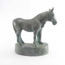 Load image into Gallery viewer, Pony