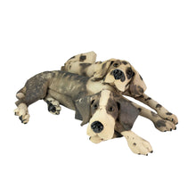 Load image into Gallery viewer, Pair of spotty and patchy hounds