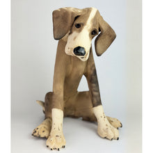Load image into Gallery viewer, Large patchy sitting dog