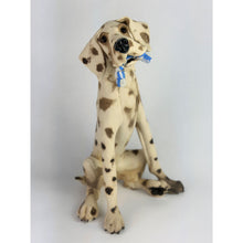 Load image into Gallery viewer, Rope toy dog