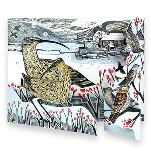 Angela Harding curlew advent calendar